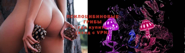 дмт Алексин