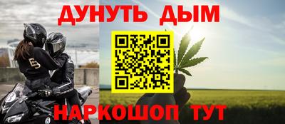 прущие грибы Нальчик