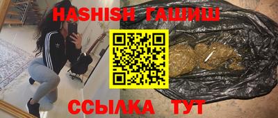 Альфа ПВП Можга