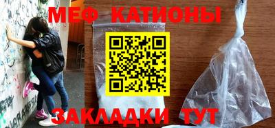 прущие грибы Нальчик