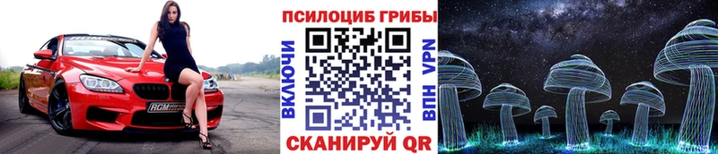 купить  сайты  сайты даркнета состав  Псилоцибиновые грибы GOLDEN TEACHER  Советская Гавань 