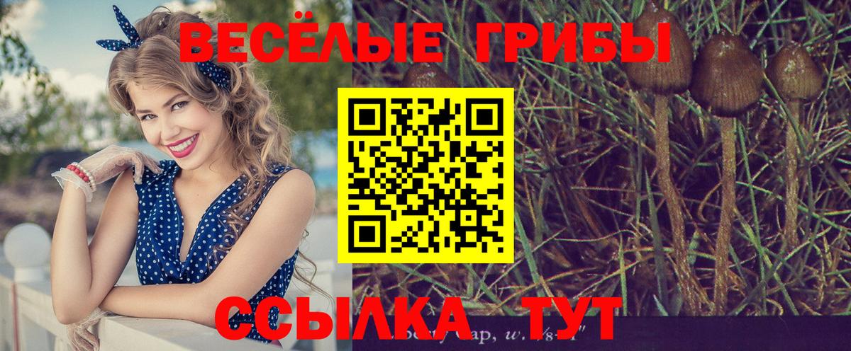 Советская Гавань  Псилоцибиновые грибы мухоморы  Вход с VPN 