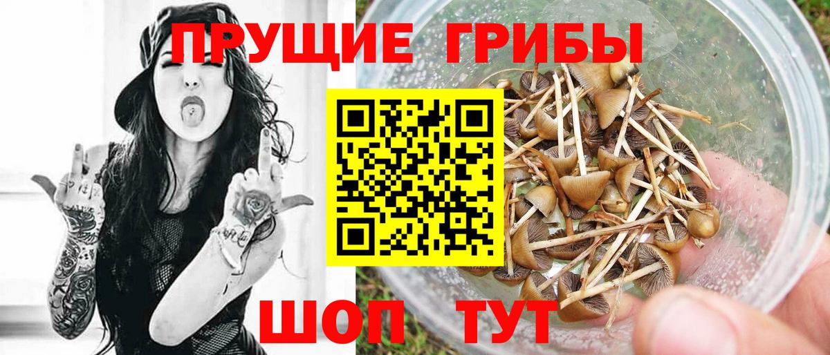 Галлюциногенные грибы мицелий Советская Гавань